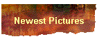 Newest Pictures