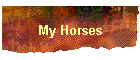 My Horses