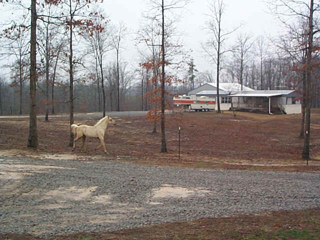 ciscoprance.jpg (150124 bytes)