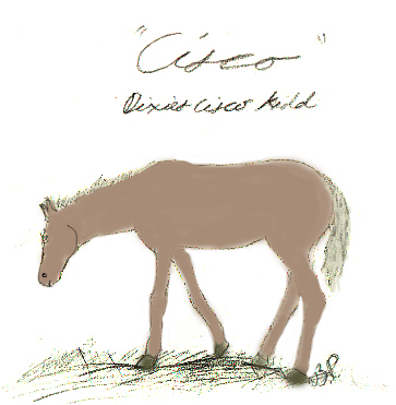 ciscodraw copy.jpg (94851 bytes)