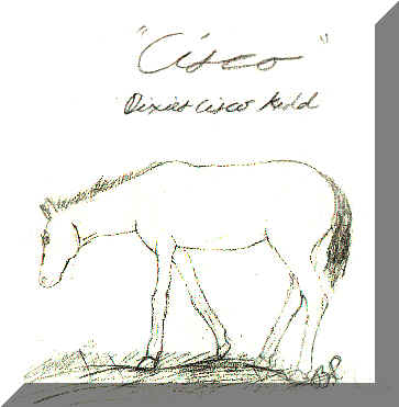 ciscodraw.jpg (106234 bytes)