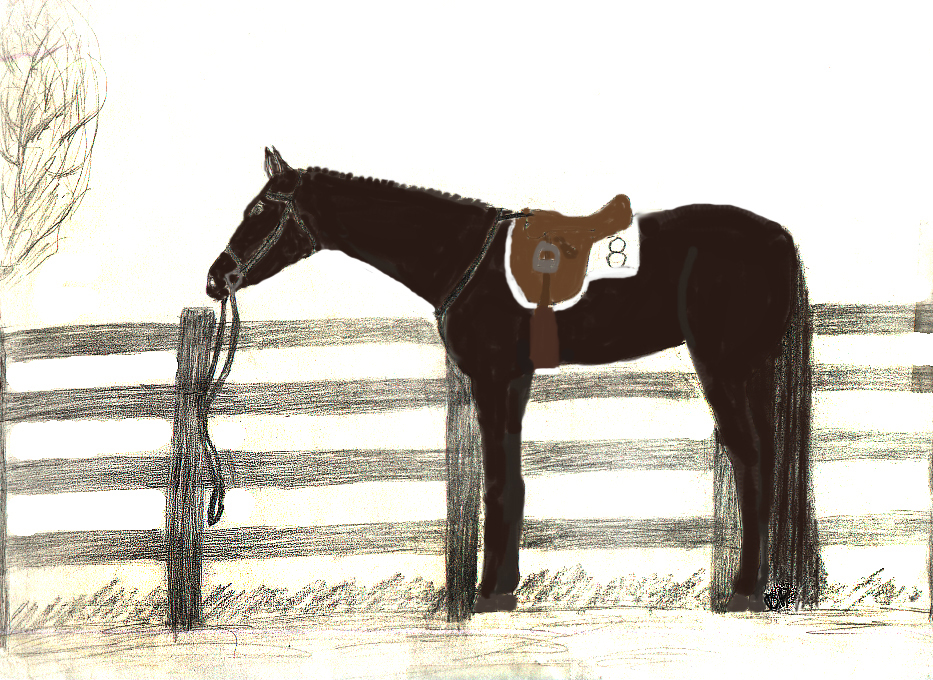 dolldrw copy.jpg (730722 bytes)